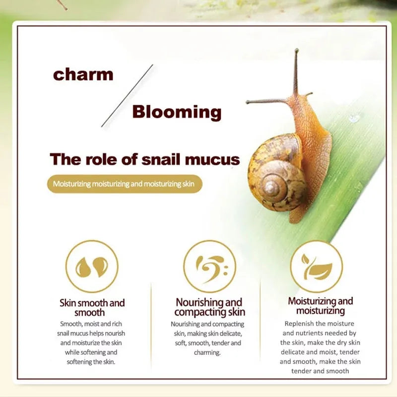 Snail Skincare Set - Beauty of Delicate Skin